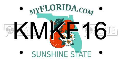 KMKF16 Florida License Plate