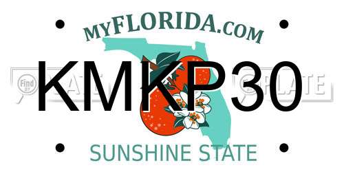 KMKP30 Florida License Plate