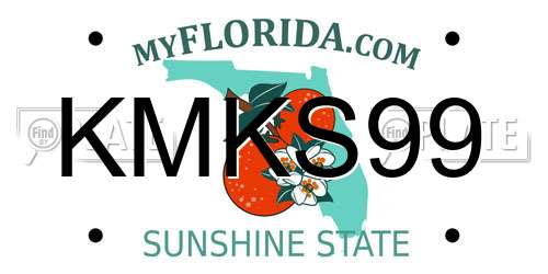 KMKS99 Florida License Plate