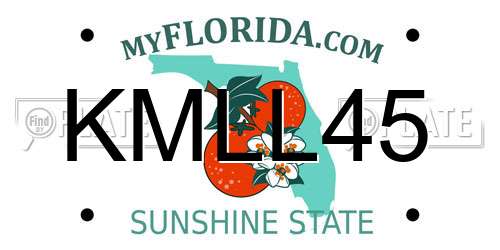 KMLL45 Florida License Plate