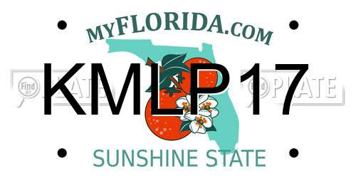 KMLP17 Florida License Plate