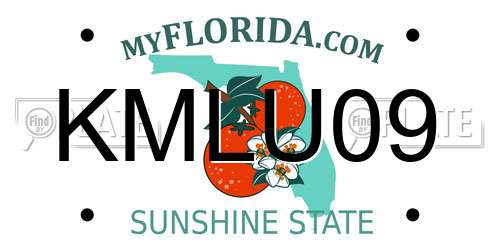 KMLU09 Florida License Plate