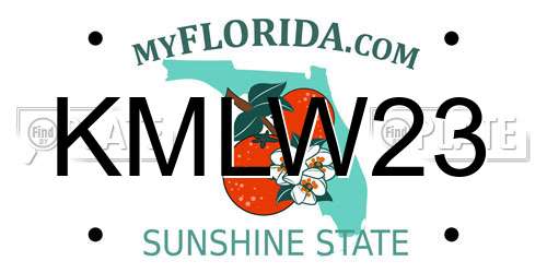 KMLW23 Florida License Plate
