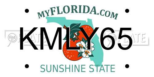 KMLY65 Florida License Plate