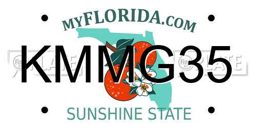 KMMG35 Florida License Plate