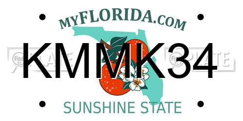 KMMK34 Florida License Plate