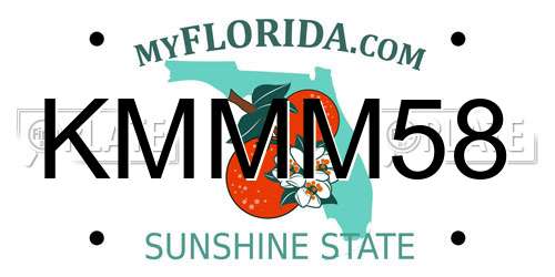 KMMM58 Florida License Plate
