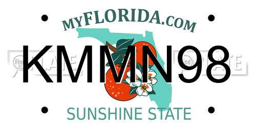KMMN98 Florida License Plate