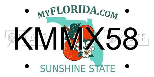 KMMX58 Florida License Plate