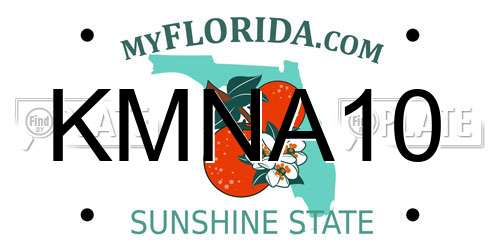 KMNA10 Florida License Plate