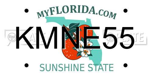 KMNE55 Florida License Plate