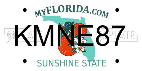 KMNE87 Florida License Plate
