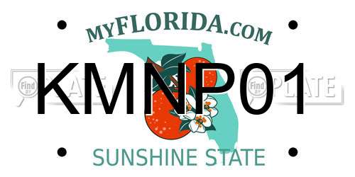KMNP01 Florida License Plate