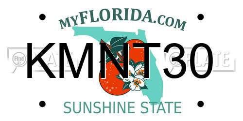 KMNT30 Florida License Plate