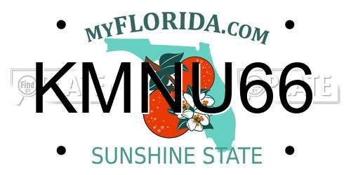 KMNU66 Florida License Plate