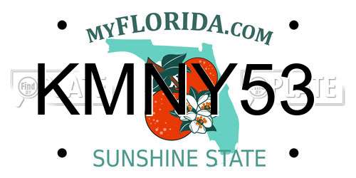 KMNY53 Florida License Plate
