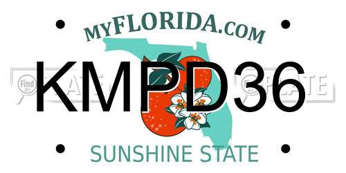 KMPD36 Florida License Plate