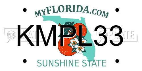 KMPL33 Florida License Plate