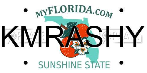 KMRASHY Florida License Plate