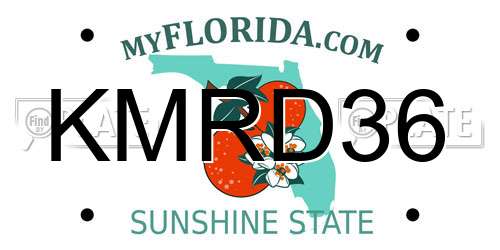 KMRD36 Florida License Plate