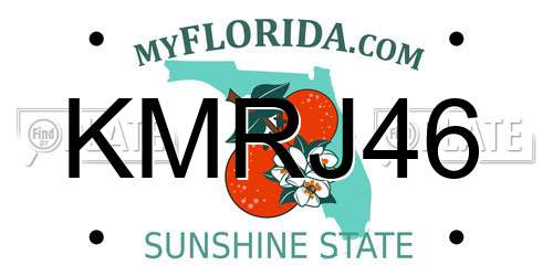 KMRJ46 Florida License Plate