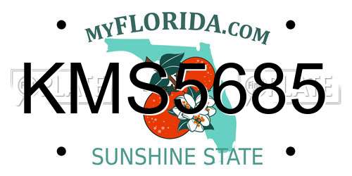 KMS5685 Florida License Plate