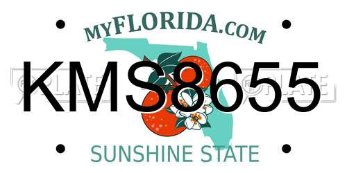 KMS8655 Florida License Plate