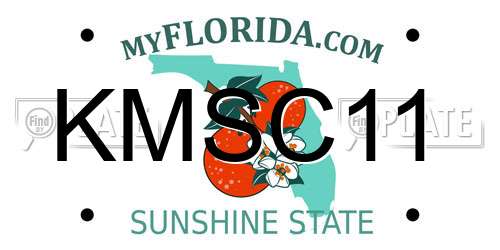 KMSC11 Florida License Plate
