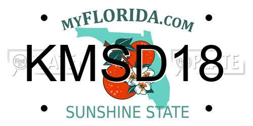 KMSD18 Florida License Plate