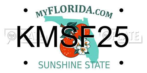 KMSF25 Florida License Plate
