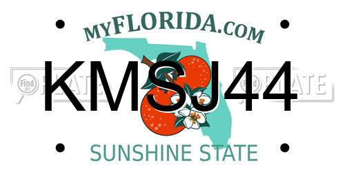 KMSJ44 Florida License Plate