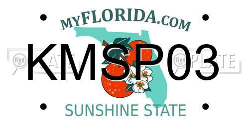 KMSP03 Florida License Plate