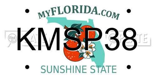 KMSP38 Florida License Plate