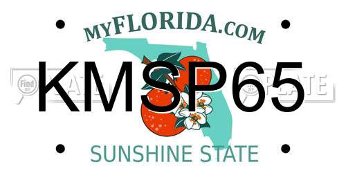 KMSP65 Florida License Plate