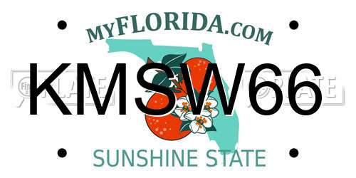 KMSW66 Florida License Plate