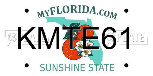 KMTE61 Florida License Plate
