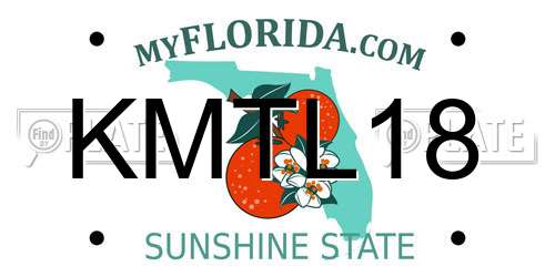 KMTL18 Florida License Plate