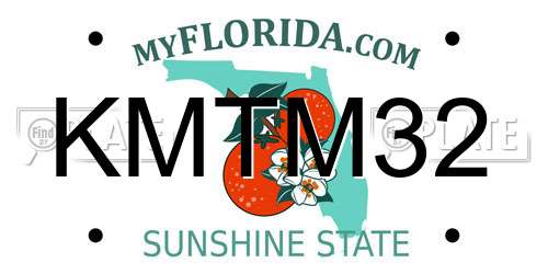 KMTM32 Florida License Plate