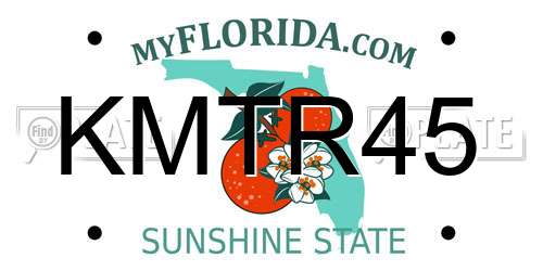 KMTR45 Florida License Plate