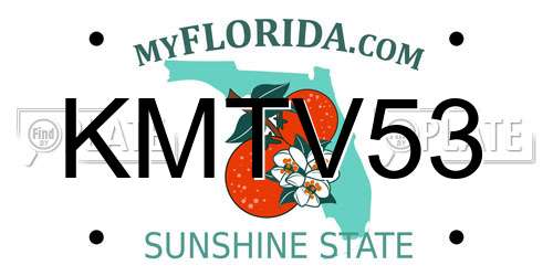 KMTV53 Florida License Plate