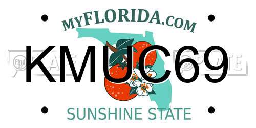 KMUC69 Florida License Plate