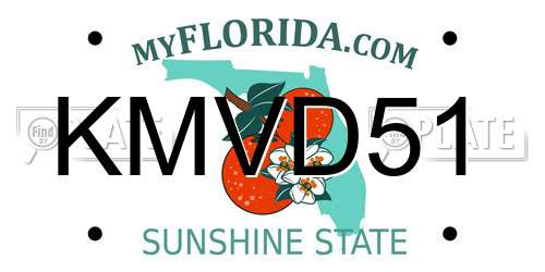KMVD51 Florida License Plate