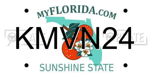 KMVN24 Florida License Plate