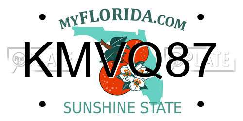 KMVQ87 Florida License Plate