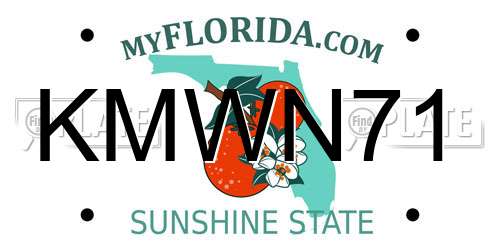 KMWN71 Florida License Plate