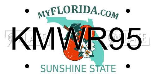 KMWR95 Florida License Plate