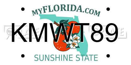 KMWT89 Florida License Plate