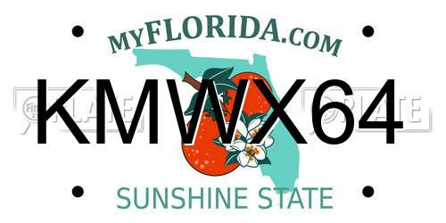 KMWX64 Florida License Plate