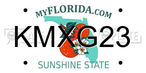 KMXG23 Florida License Plate