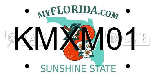 KMXM01 Florida License Plate